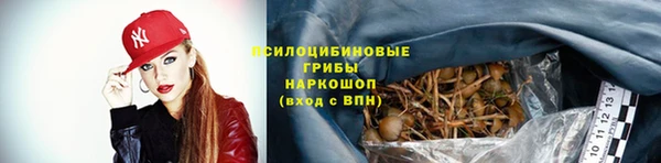 Альфа ПВП Алзамай