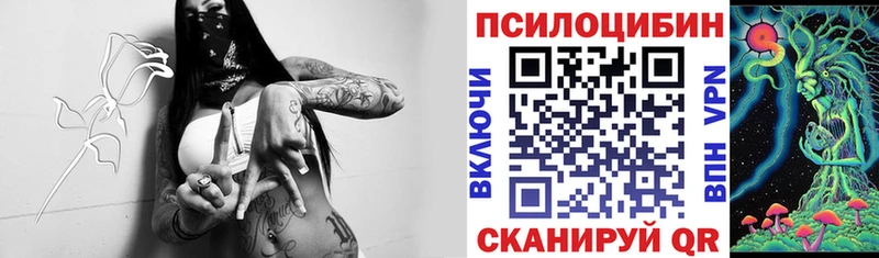 Галлюциногенные грибы Magic Shrooms  где продают   Петрозаводск 